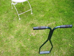 b0046038_12393359.jpg