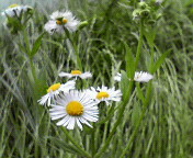 c0046340_22193112.jpg