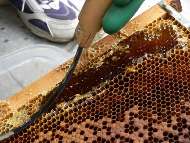 e0055642_23515050.jpg