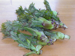 e0004756_20425034.jpg