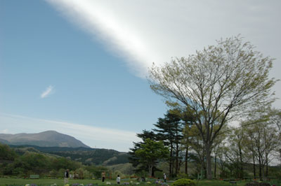 c0050264_2352646.jpg