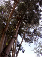 a0063472_15514589.jpg