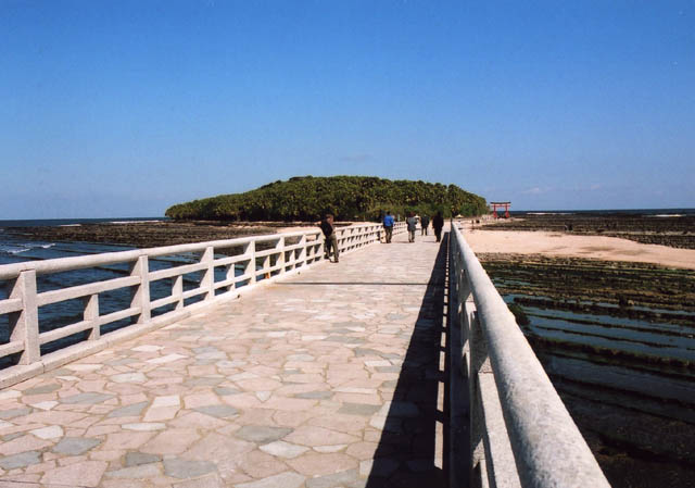 b0102780_20324893.jpg