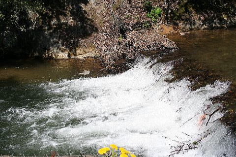 e0081184_17243485.jpg