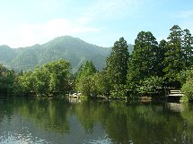 f0104590_07438.jpg