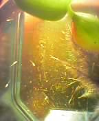e0006692_12143676.jpg