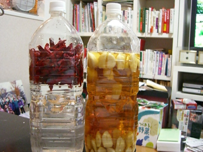 f0070493_12320100.jpg