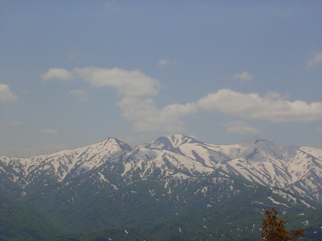 b0050305_0373625.jpg