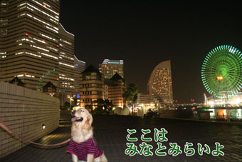 e0072606_2238022.jpg