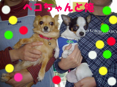 e0032508_2034115.jpg