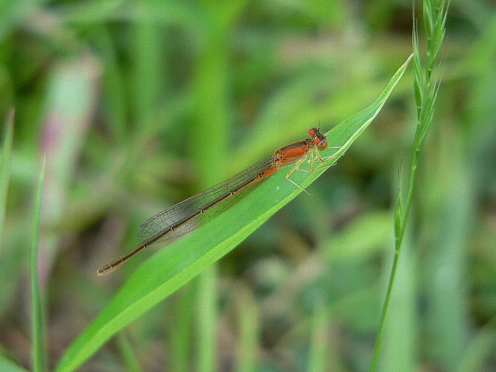 e0002314_17233747.jpg