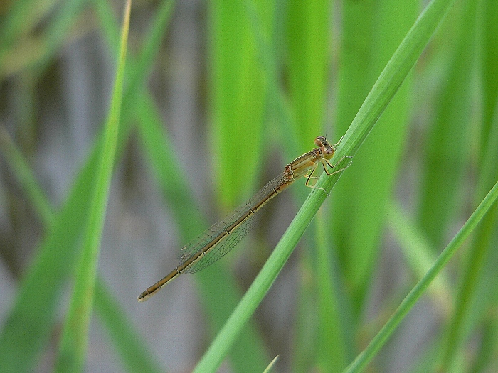 e0002314_17252348.jpg