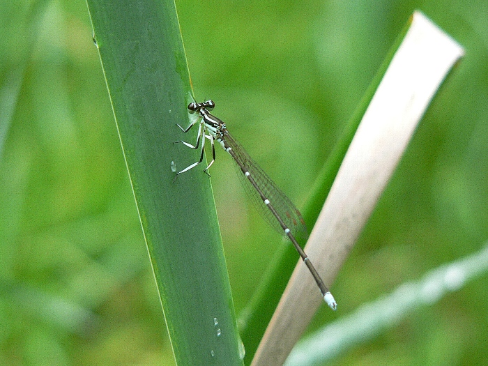 e0002314_1748455.jpg