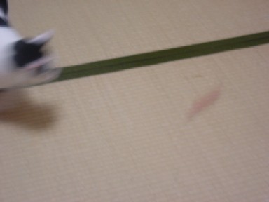 f0052337_21311028.jpg
