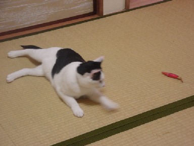 f0052337_21355131.jpg