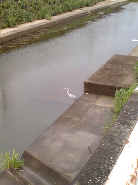 e0034047_4193044.jpg