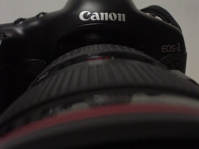b0078651_22124396.jpg