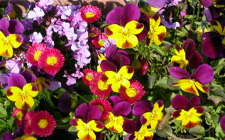 e0004756_21193068.jpg