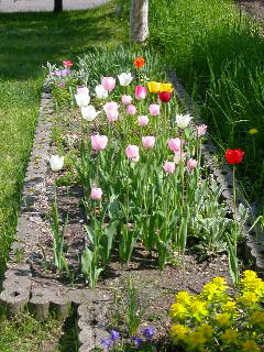 e0004756_217197.jpg
