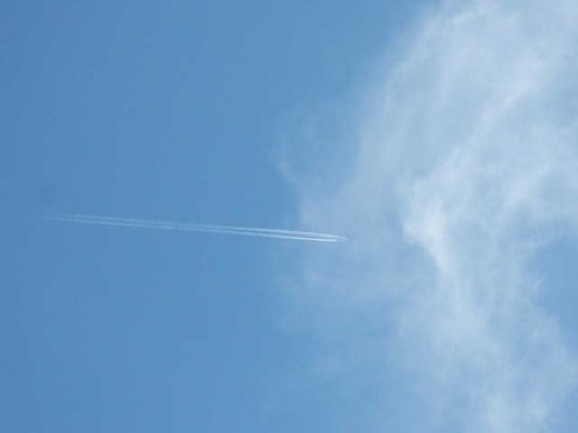 d0004574_2239289.jpg
