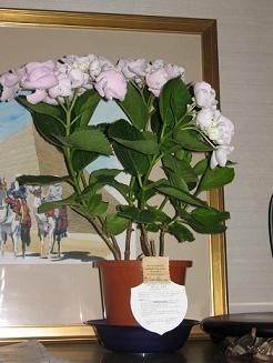 c0052779_21294915.jpg