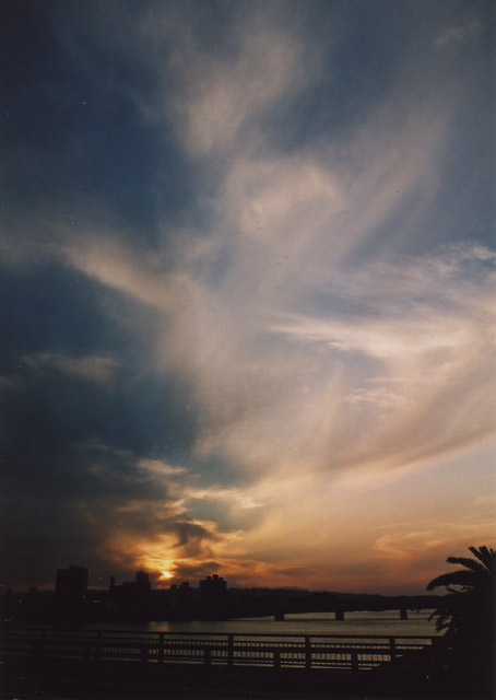 b0102780_031350.jpg