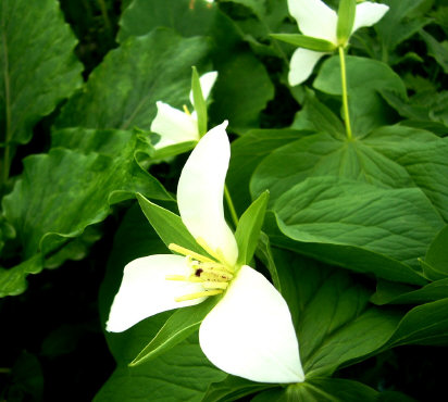 f0029393_18112730.jpg