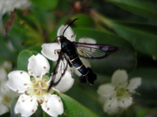 e0083097_94409.jpg