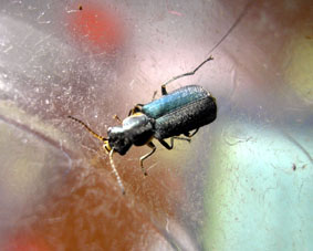 e0083097_9443146.jpg