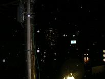 d0064499_12382521.jpg