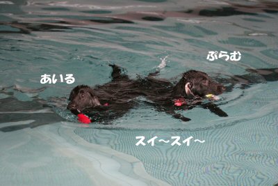 c0050400_21524746.jpg