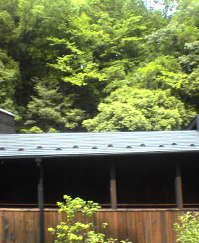 d0016409_105713.jpg