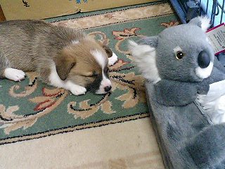 e0026017_013289.jpg