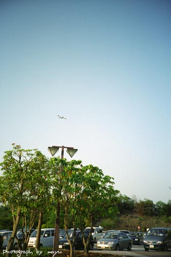 d0036630_91235.jpg