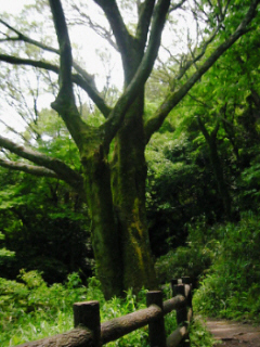 d0017632_9133019.jpg