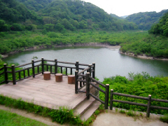 d0017632_9255643.jpg