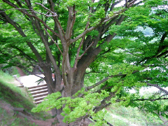 d0017632_9261534.jpg
