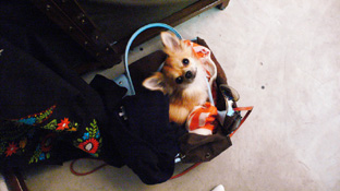 c0052933_23364299.jpg