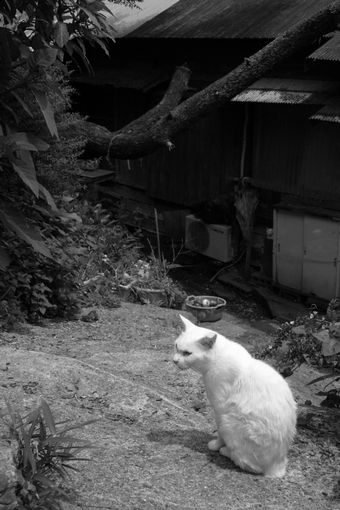c0003036_226975.jpg