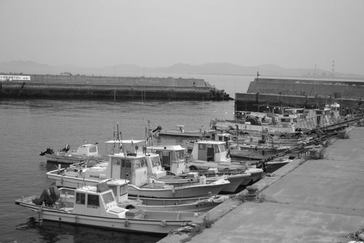c0003036_2272462.jpg