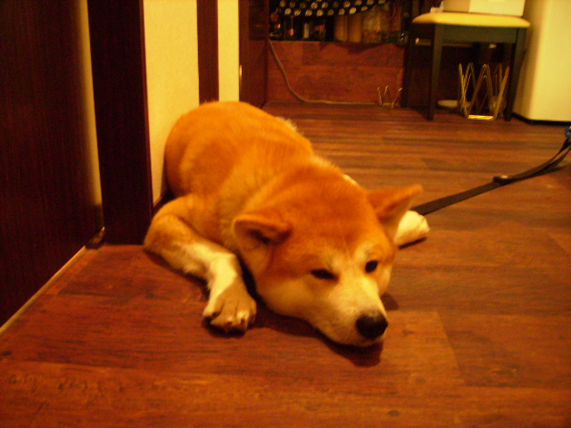 f0058241_12324432.jpg