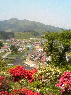 c0018845_5355515.jpg