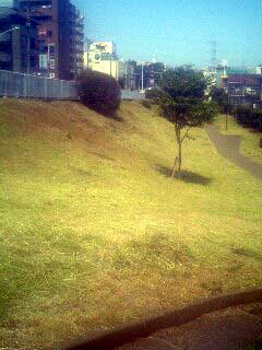 c0033145_21464091.jpg