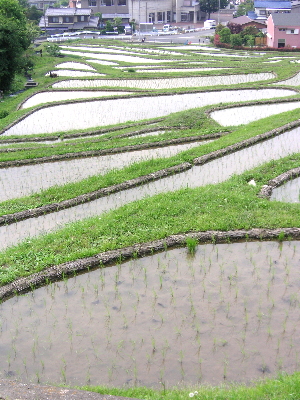 a0003150_2284415.jpg
