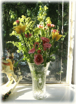 c0025852_117282.gif