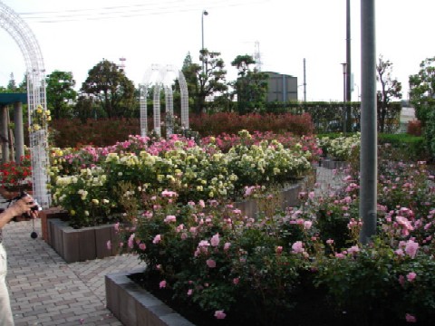 b0061261_18594061.jpg