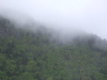 f0107262_19322519.jpg