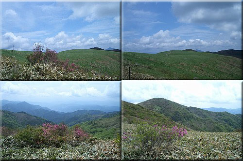 f0104569_23301388.jpg
