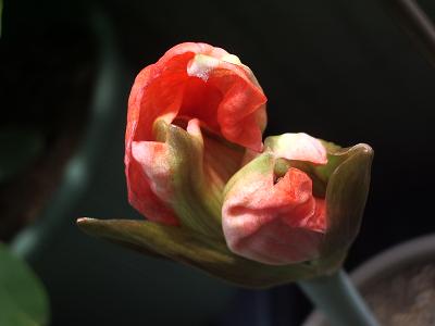e0023471_13444630.jpg