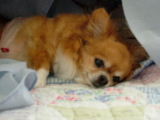 f0052071_1344140.jpg